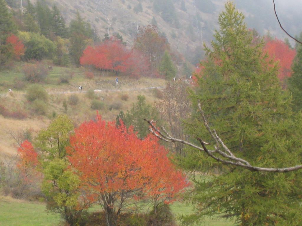 Hotel Villa Plinia Pragelato Eksteriør bilde